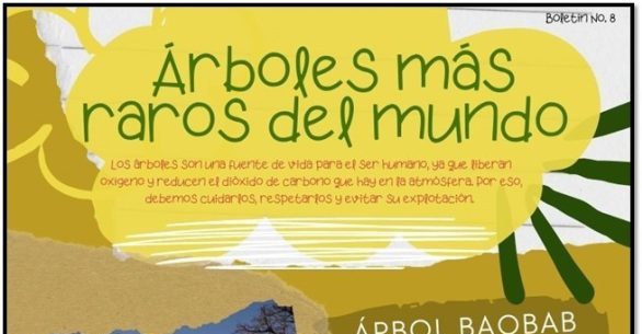 Boletín No. 8/23 — Árboles más raros del mundo