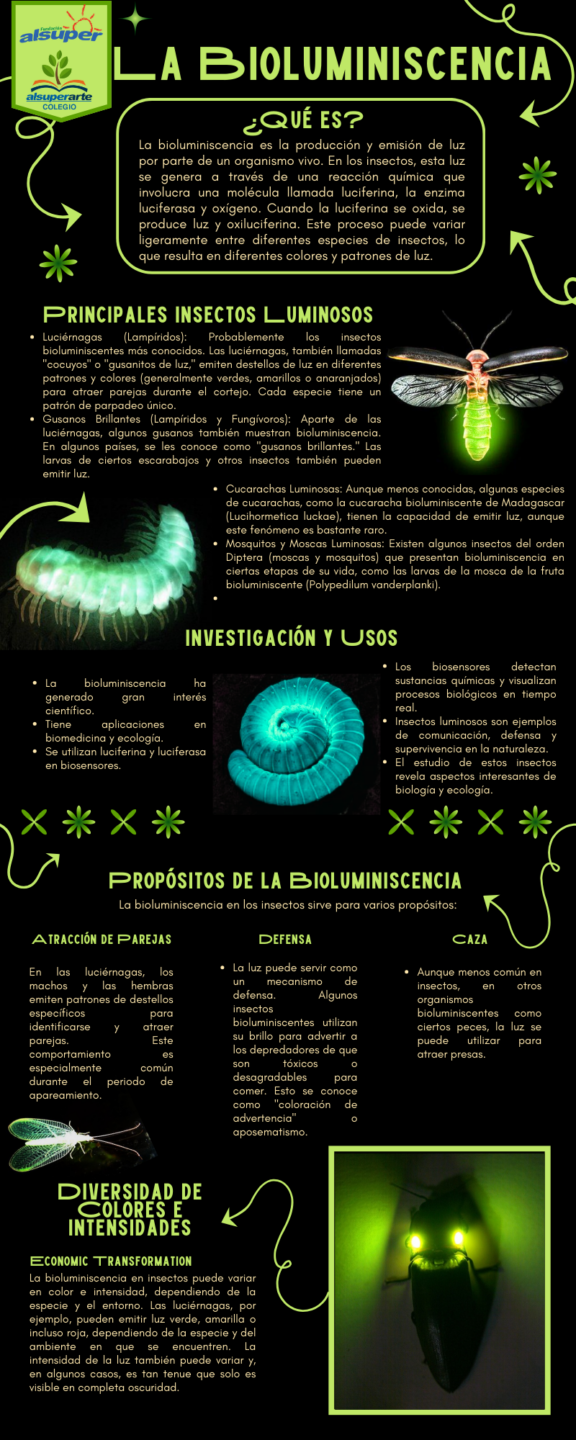 Boletín No. 8/24 – La bioluminiscencia