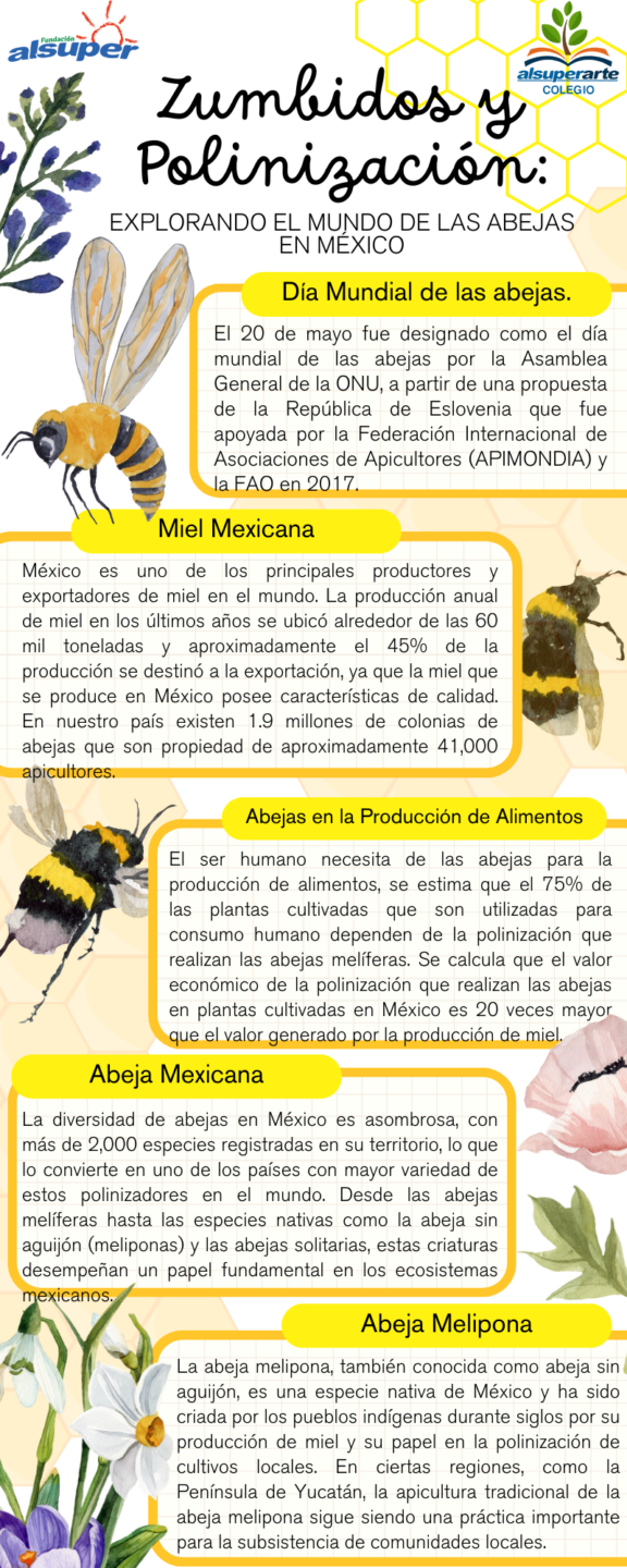 Boletín No.6/24 – Zumbidos y polinización: Explorando el mundo de las abejas en México